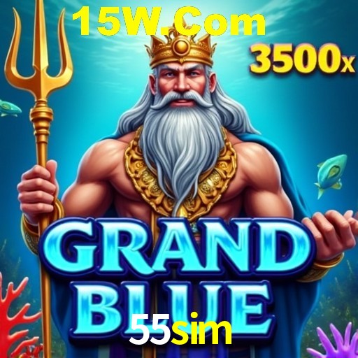 55sim Rio de Janeiro - Professional Dealers