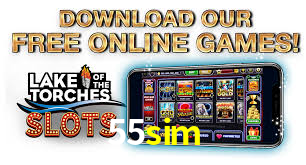 VIP Casino 55sim